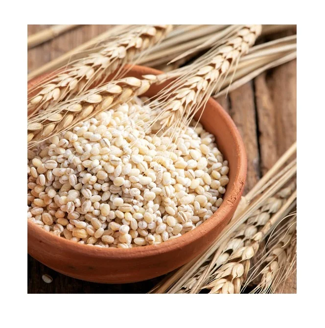 Корм для животных ячмень