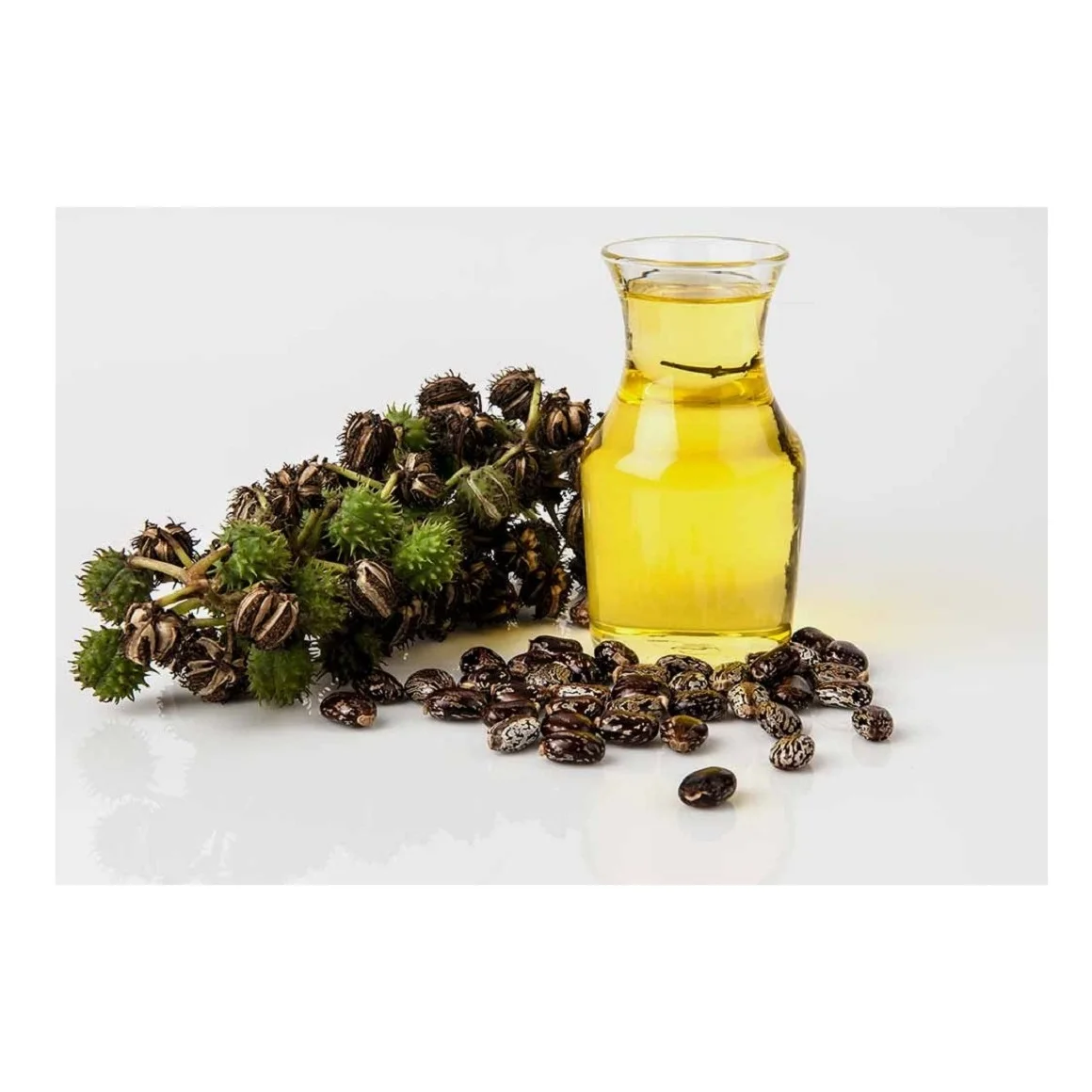 Manufacturer supply wholesale 100% Pure Natural Organic Castor Oil
