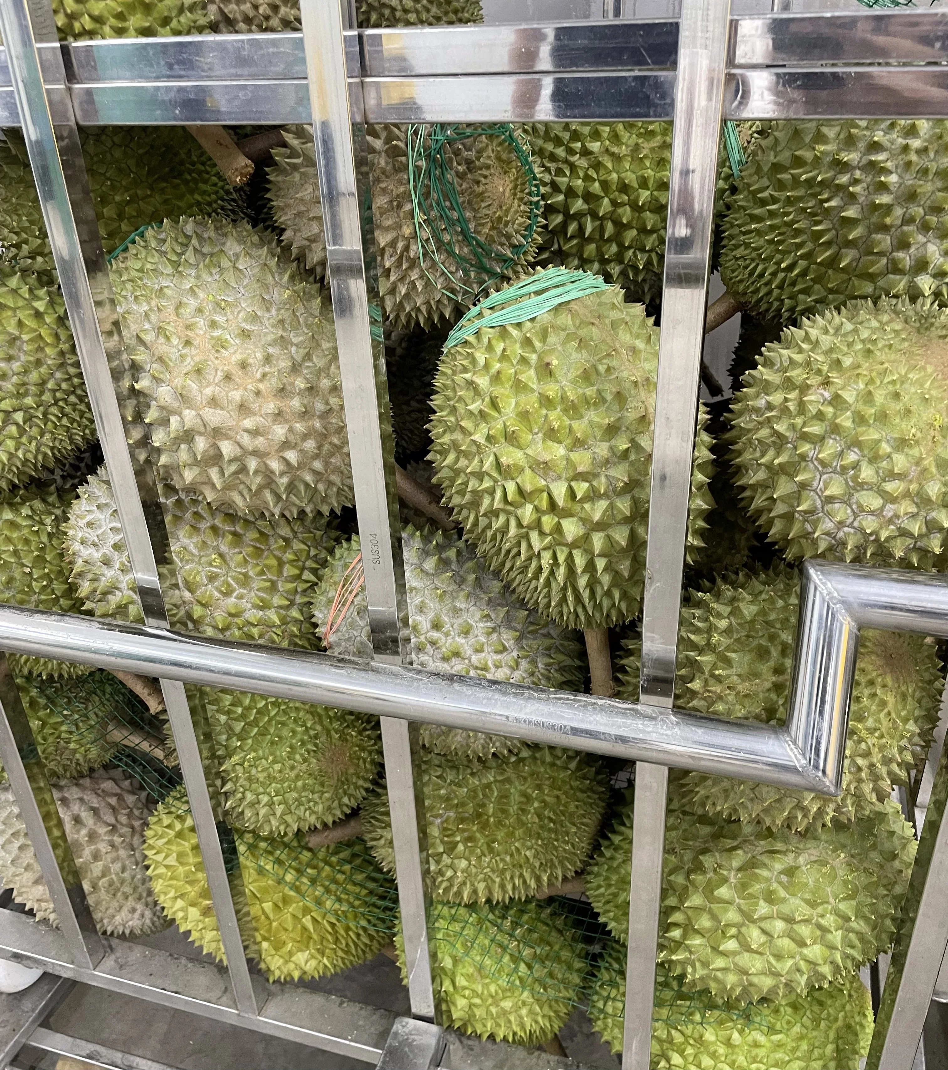 Hot Selling Grade A Super Fresh Frozen Musang King Durian Whole Fruit For Export Malaysia Musang King IQF Durian Tropical Fruits