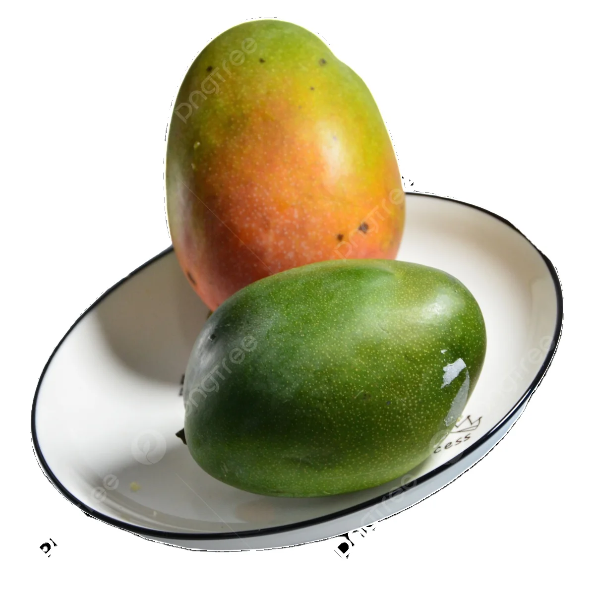 Cheap Price Fresh Mango Fruit From Vietnam / Fresh Mango High Quality Wholesale 2023