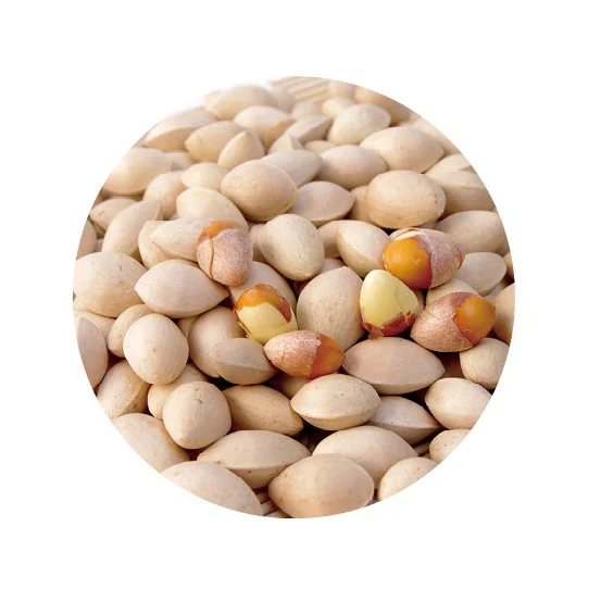 Top Quality Ginko Nut Factory Price 1kg IQF Frozen Ginkgo High Best Selling Seeds As Food