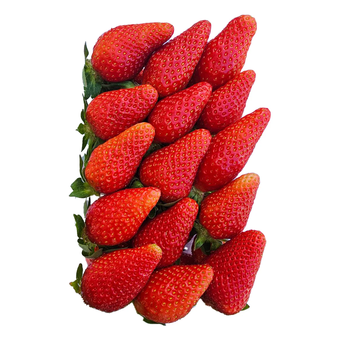 Top quality fresh strawberries natural product worldwide shipping strawberry wholesale