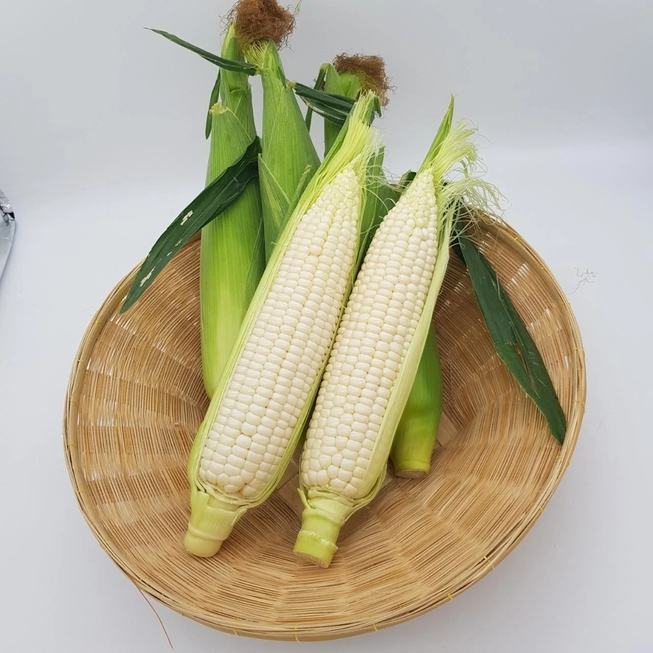 Best Quality Custom Made Wholesale Factory Price White Corn wholesale in Bulk
