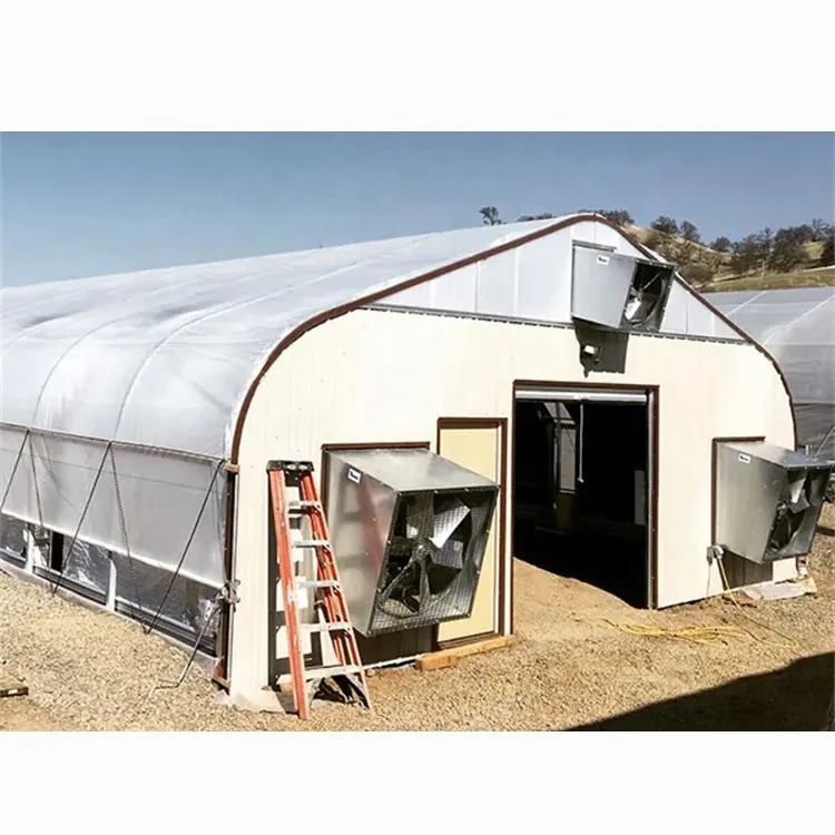 Agricultural Automated Tunnel Medical Commercial Hemp mushroom Blackout Light Deprivation Greenhouse