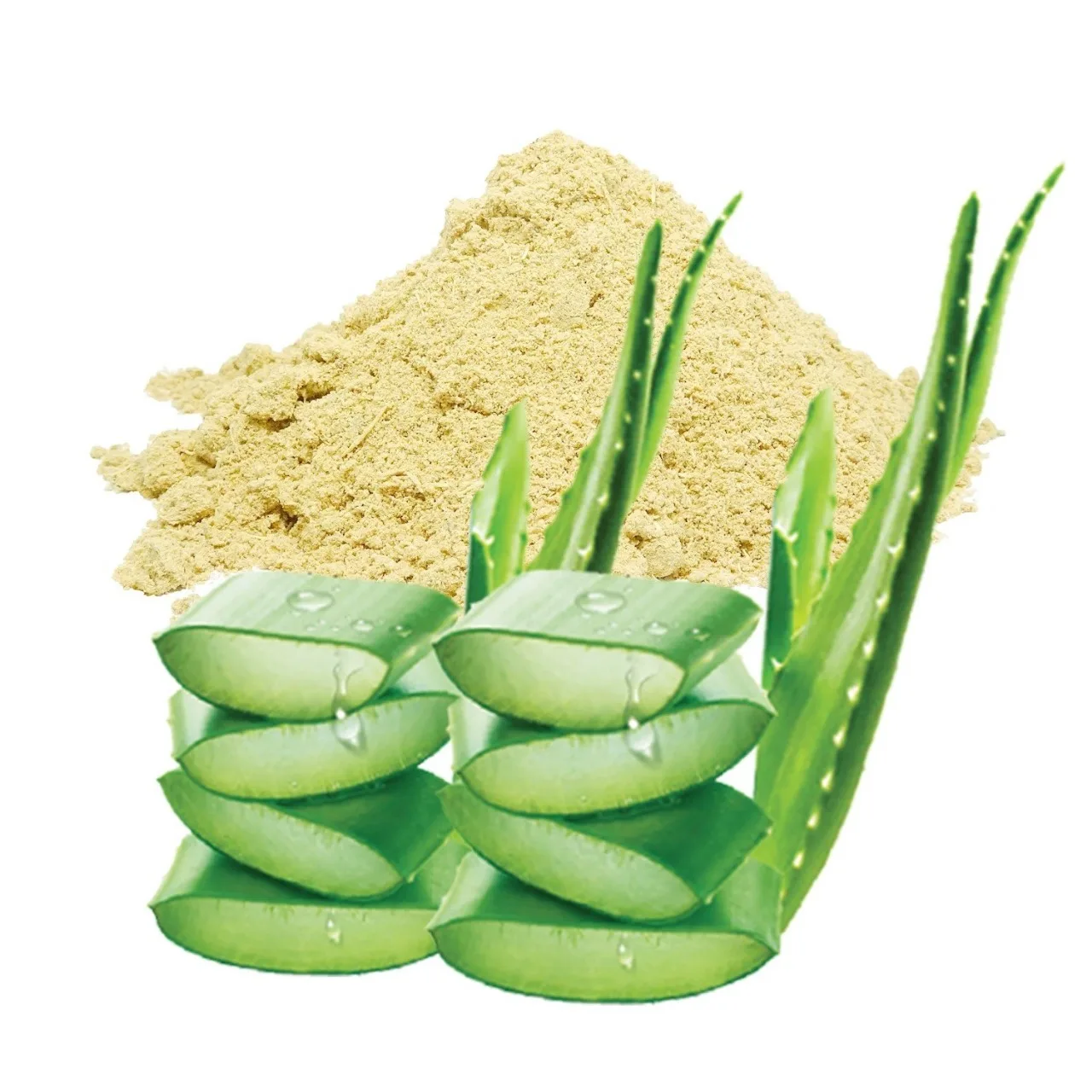 Premium Quality 100% Pure & Natural Aloe Vera Root Extract Powder at Best Price from India