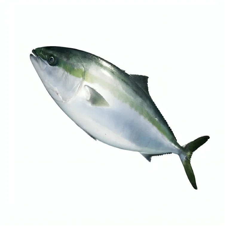 Japanese Fresh Fillet Fish Buyer Frozen Wholesale Seafood Supplier