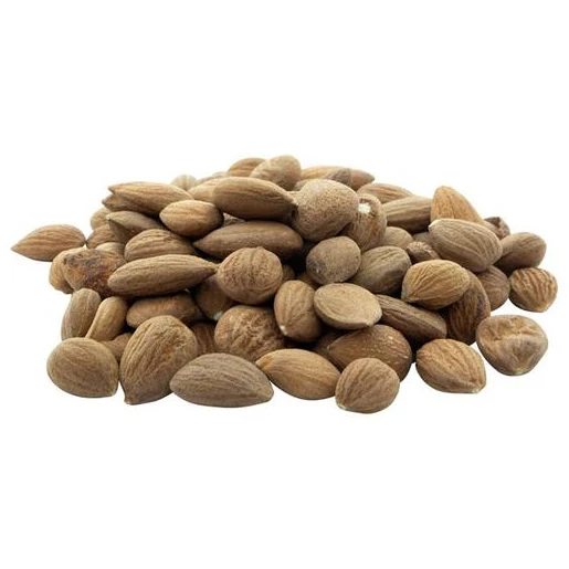 Wholesale Best price High impact Bitter Apricots Kernels OEM services Bitter Apricots Kernels Factory rate in Hot price