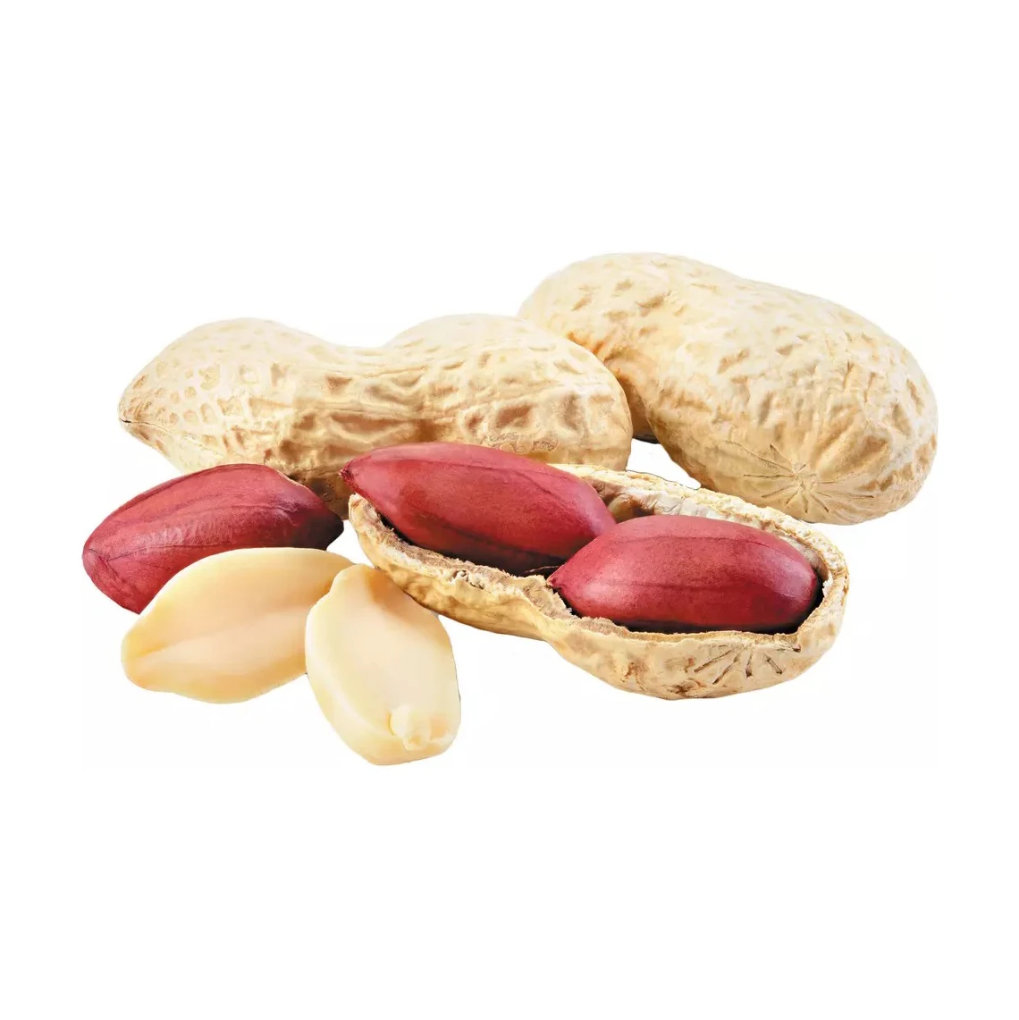 Good quality peanuts 100% Natural peanut Peanut without shell