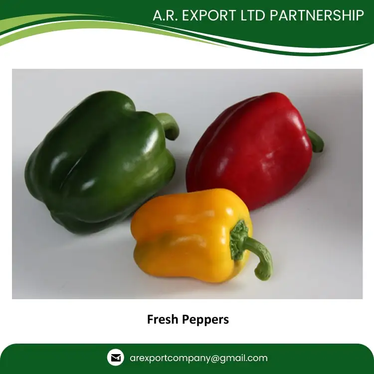 Exporting Highest Quality Wholesale Selling Fresh Bell Peppers for Genuine Wholesale Purchasers