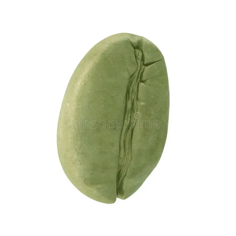 Green Arabica Coffee Beans / Brazilian Coffee Beans For Sale / Ethiopian Arabica Coffee Beans