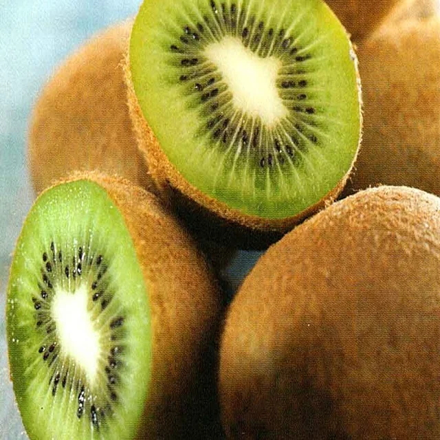 Top Grade Organic fresh kiwi fruit wholesale price