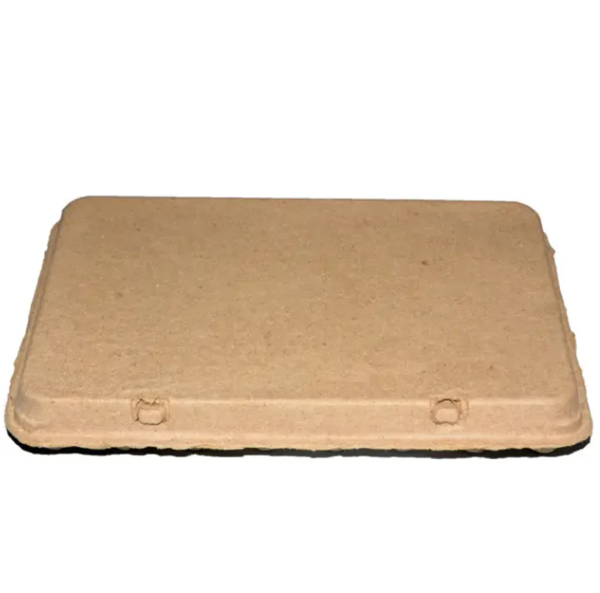 Eggs Packaging Box Cartons Egg Trays Chicken Paper Pulp Bagasse Pulp Egg Tray Cheap Price