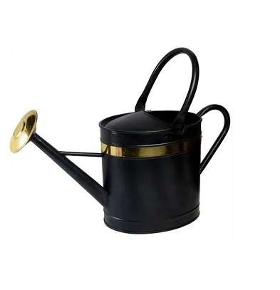 Minimalist Factory Direct Selling Stainless Steel Watering Can With Long Spout Garden Pots For Farmhouse