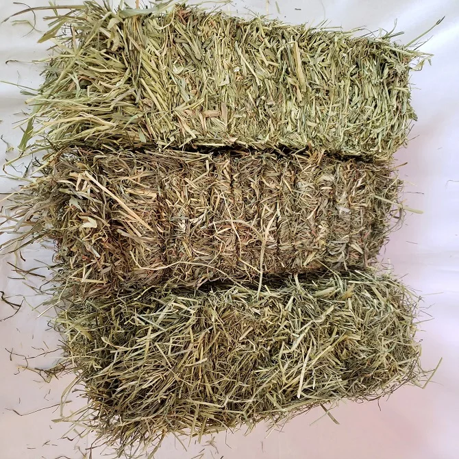 Quality Horse Hay. Offering Timothy, Orchard Grass, Alfalfa, and mixes in square and round bales.