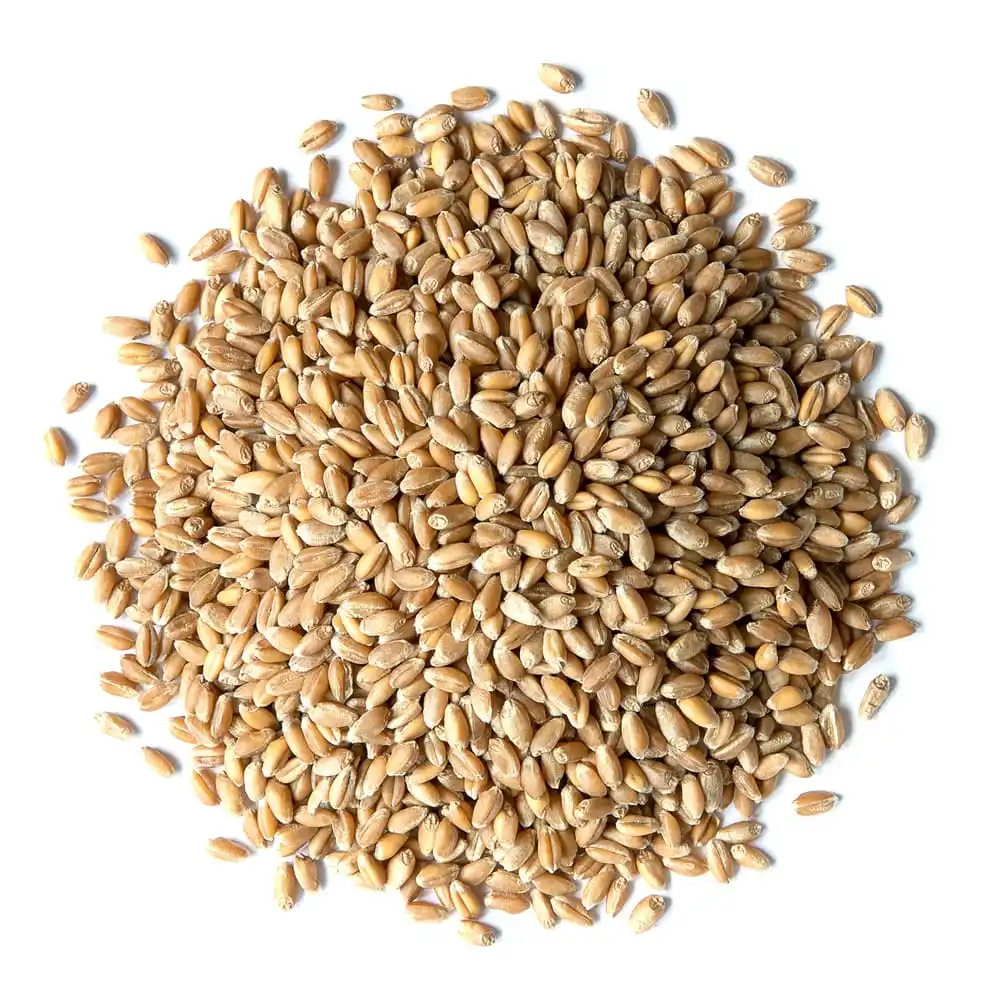 whole-wheat-berries.jpg