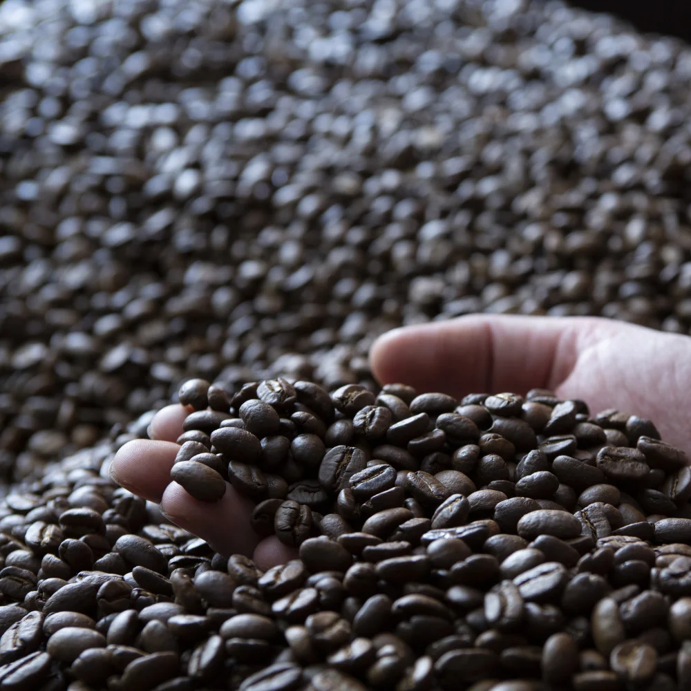 Italian Roasted Coffee Beans Sweet Ethiopian 100% Arabica For Best American Coffee