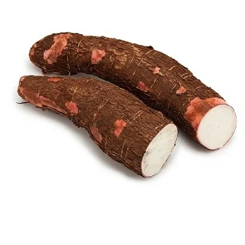 For Sale Low Price 100% Natural Fresh Cassava Chips Packed in Jumbo Bag From Sliced