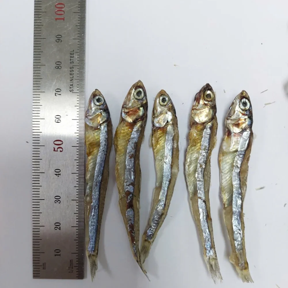 Exporting dried anchovies, raw materials processed from wild-caught sea anchovies