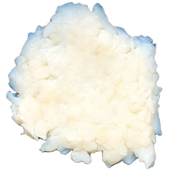 Ratio 1:10 Size 15x15x15mm dried Raw Nata De Coco Vietnam Coconut Jelly fruit drink snack from citric acid +84 979046580