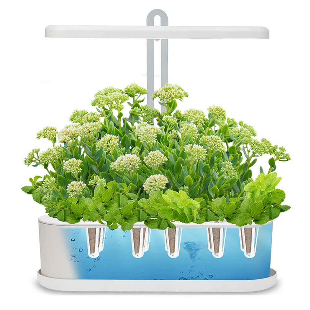 Endless Fun Hydroponic System Smart Indoor Vegetable Planter For Living Room
