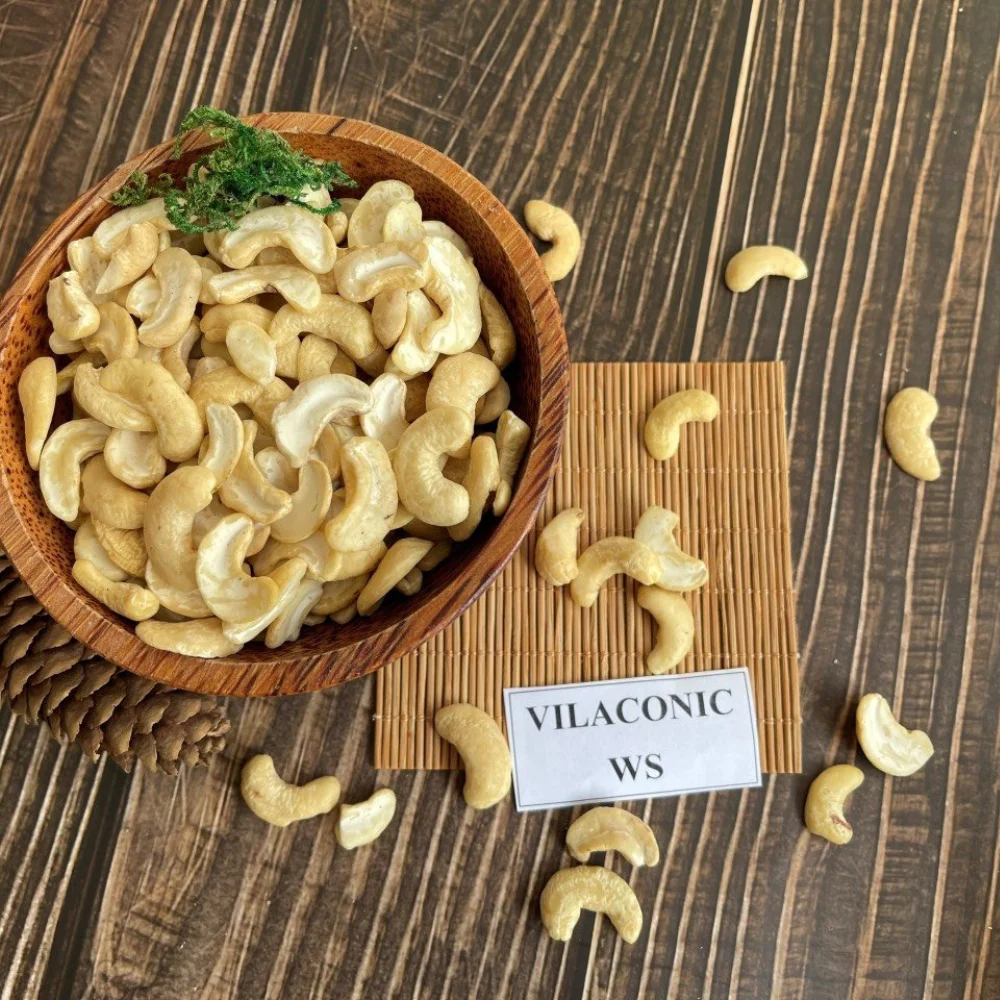ALL TYPE SP LP WW180 WW240 WW320 VIETNAM CASHEW NUTS & KERNEL SPECIALTY, DRY VERY CHEAP, HIGH QUALITY WHOLESALE EXPORT in BULK