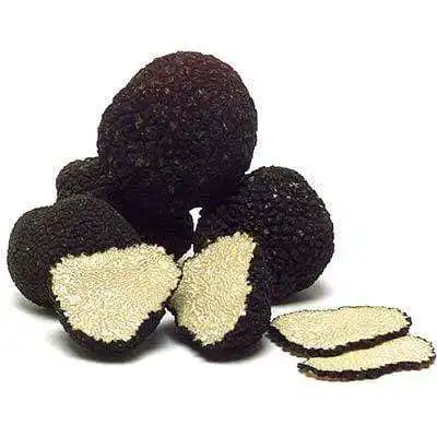 WHITE TRUFFLE Wild WHITE Truffles from Italy lazio Tuber Melanosporum Bulk Style Packaging Color Sh