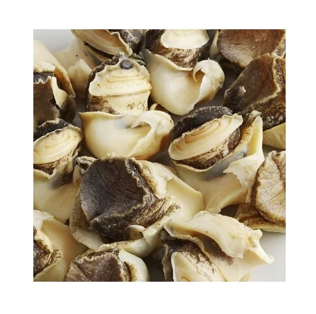 Frozen Conch Meat, Seafood, Sashimi Grade