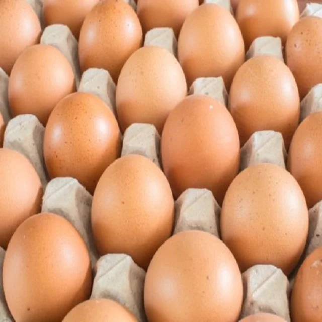 Лучшее качество свежие коричневые столовые куриные яйца по