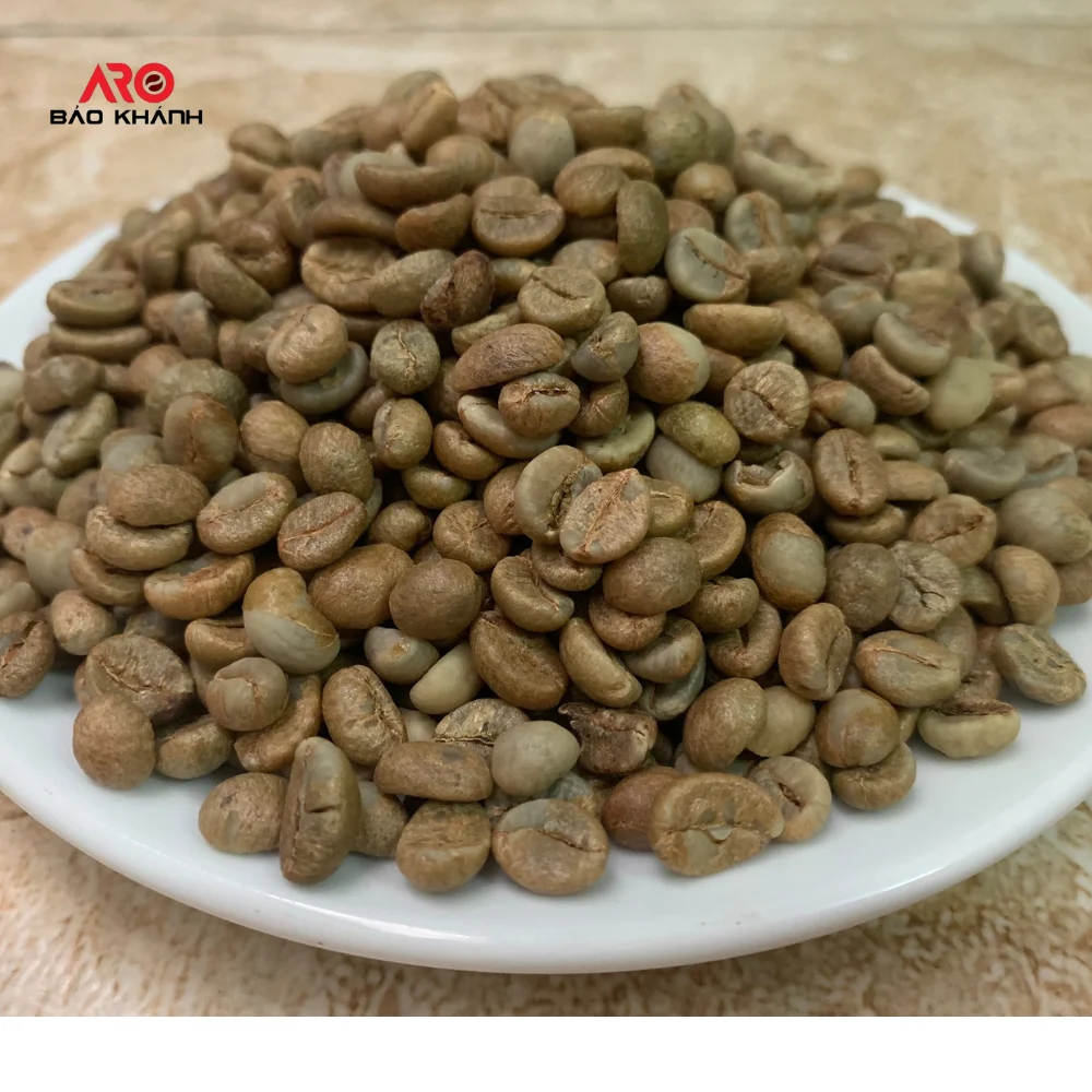 Недорогие зеленые кофейные зерна Robusta G2 столичного кофе в Gia Lai Vietnam обработка натурального сильного Горького нейтрального вкуса