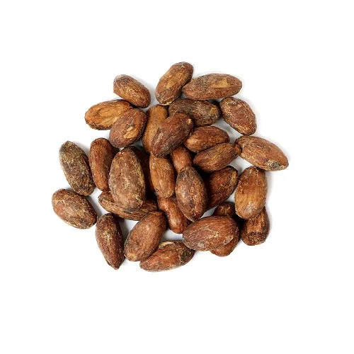 Quality Dried Cacao Beans 2023 Harvest from Belgium / Cacao Beans for Chocolate factory for sale in Europe