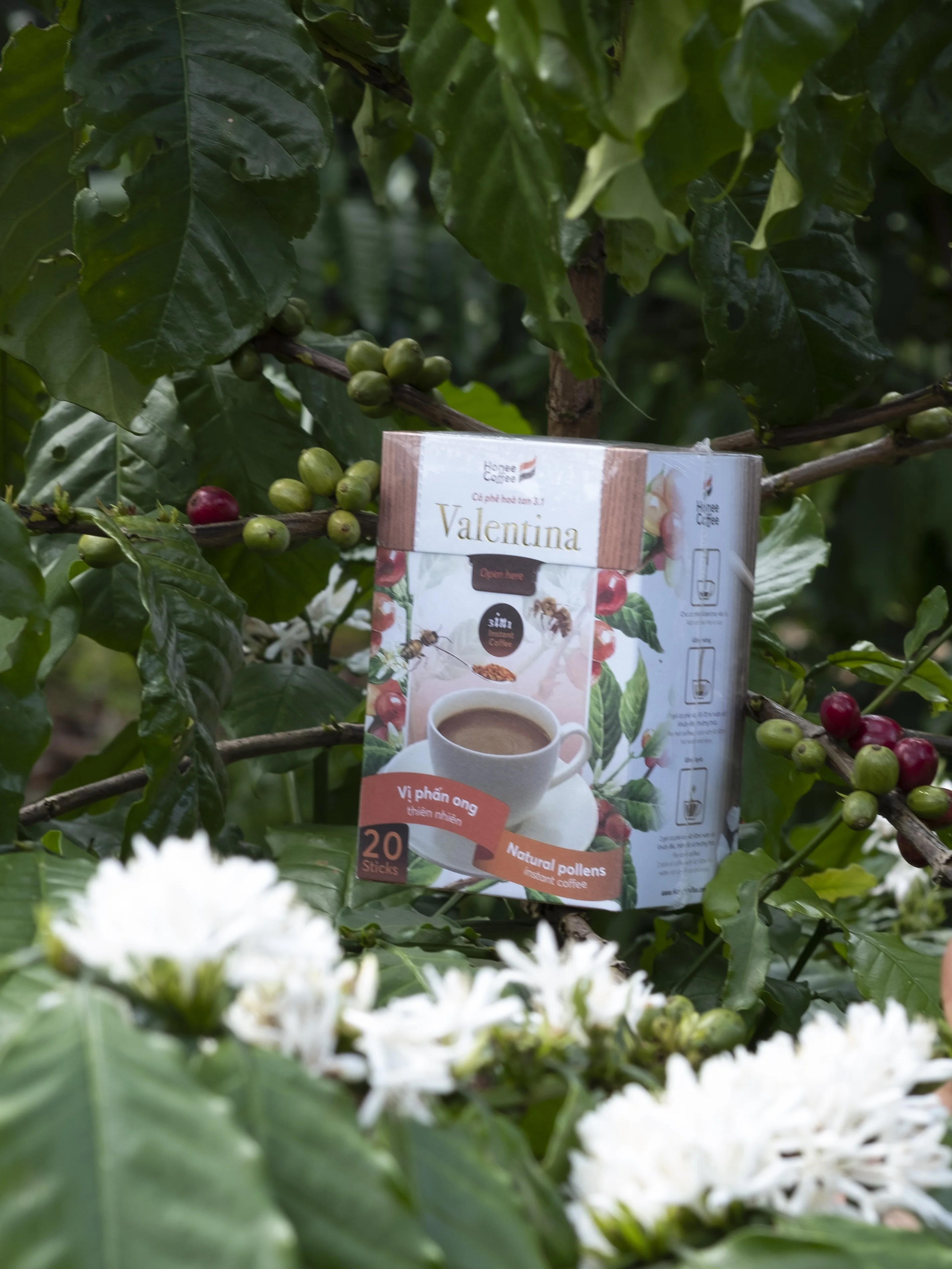 Valentina coffee instant mix 3 in 1 with natural bee pollen and non dairy creamer Honee Coffee brand