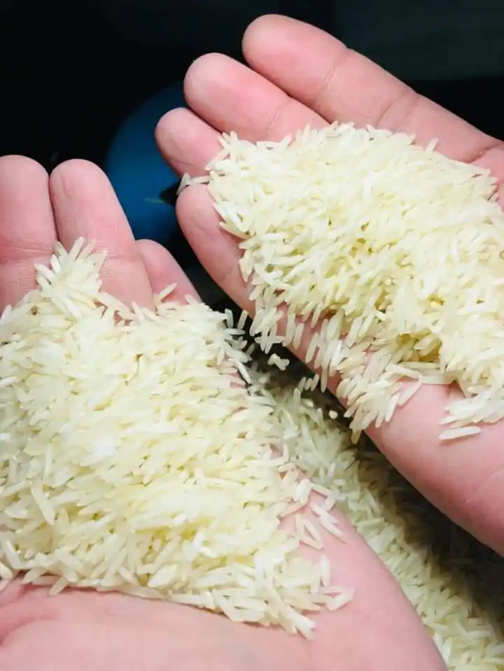 Quality Basmati Rice from Thailand/ Wholesale White Long Grain Rice, 5%-25% Broken in Bulk with Cheap Price