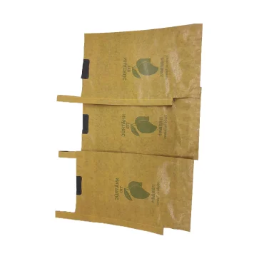 Quality Mango Fruit Protection Growing Paper Bag Anti Pests Double Layers Bag for Fruit Grow