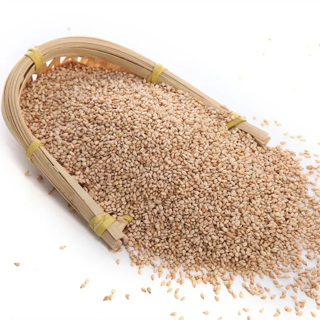 High Quality Natural Organic Sesame Seeds Available For Sale At Low Price