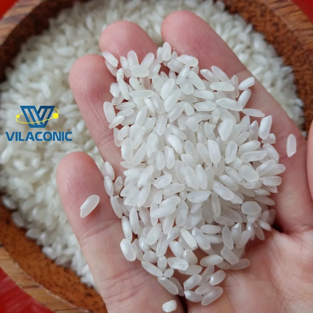 MEDIUM GRAIN CAMOLINO EGYPTIAN WHITE  RICE 5% BROKEN EXPORT WHOLESALE PREMIUM FROM VIETNAM MANUFACTURER +84 964 660 879