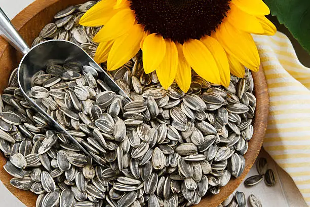 GOOD Sunflower seeds