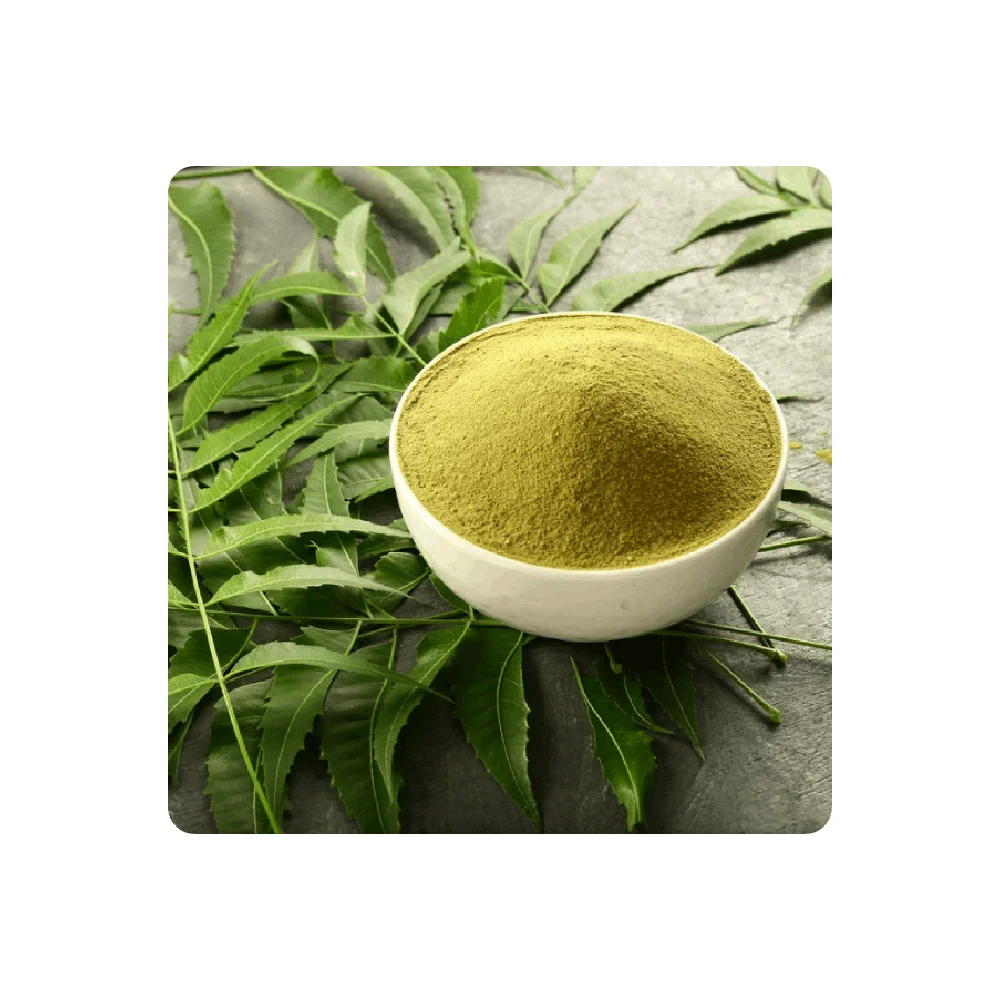 Trusted Seller of Organic Neem Leaf Powder form India neem powder for dandruff neem leaf powder price