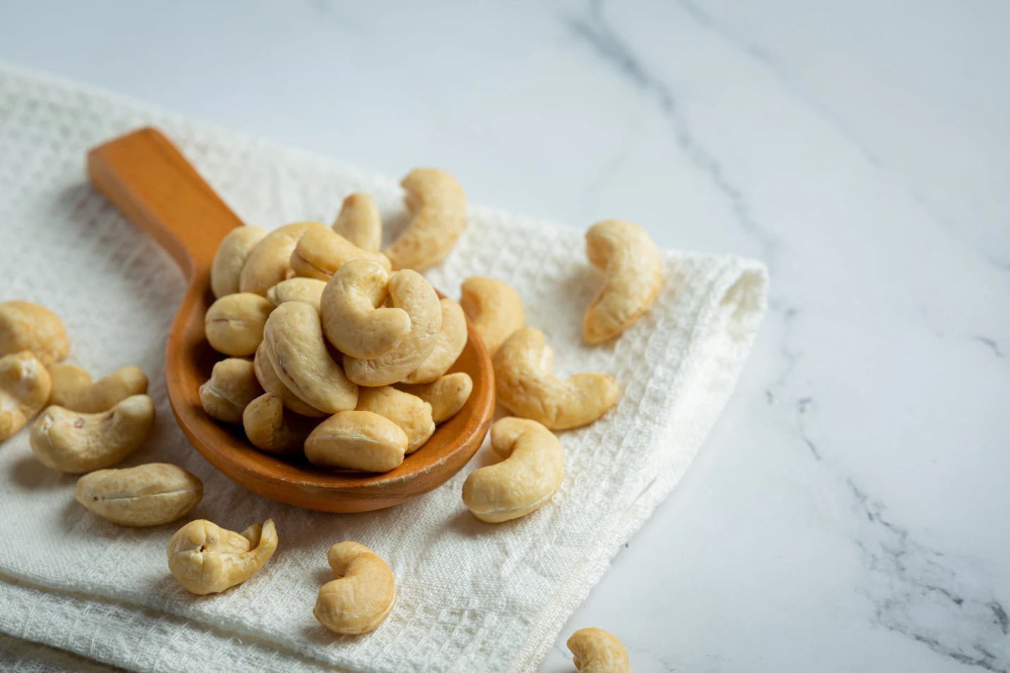 Bulk Purchase 100% Pure Cashew Nuts Dry Fruit Quality Assured Raw Cashew Nuts Kernal / Indian Kaju Exporter In India