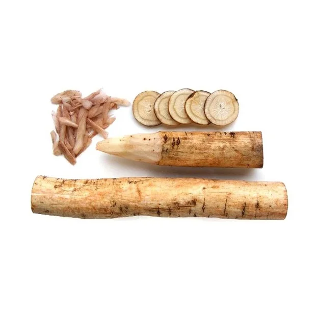 Top Quality Fresh Vegetables Burdock Root For Sale At Best Price