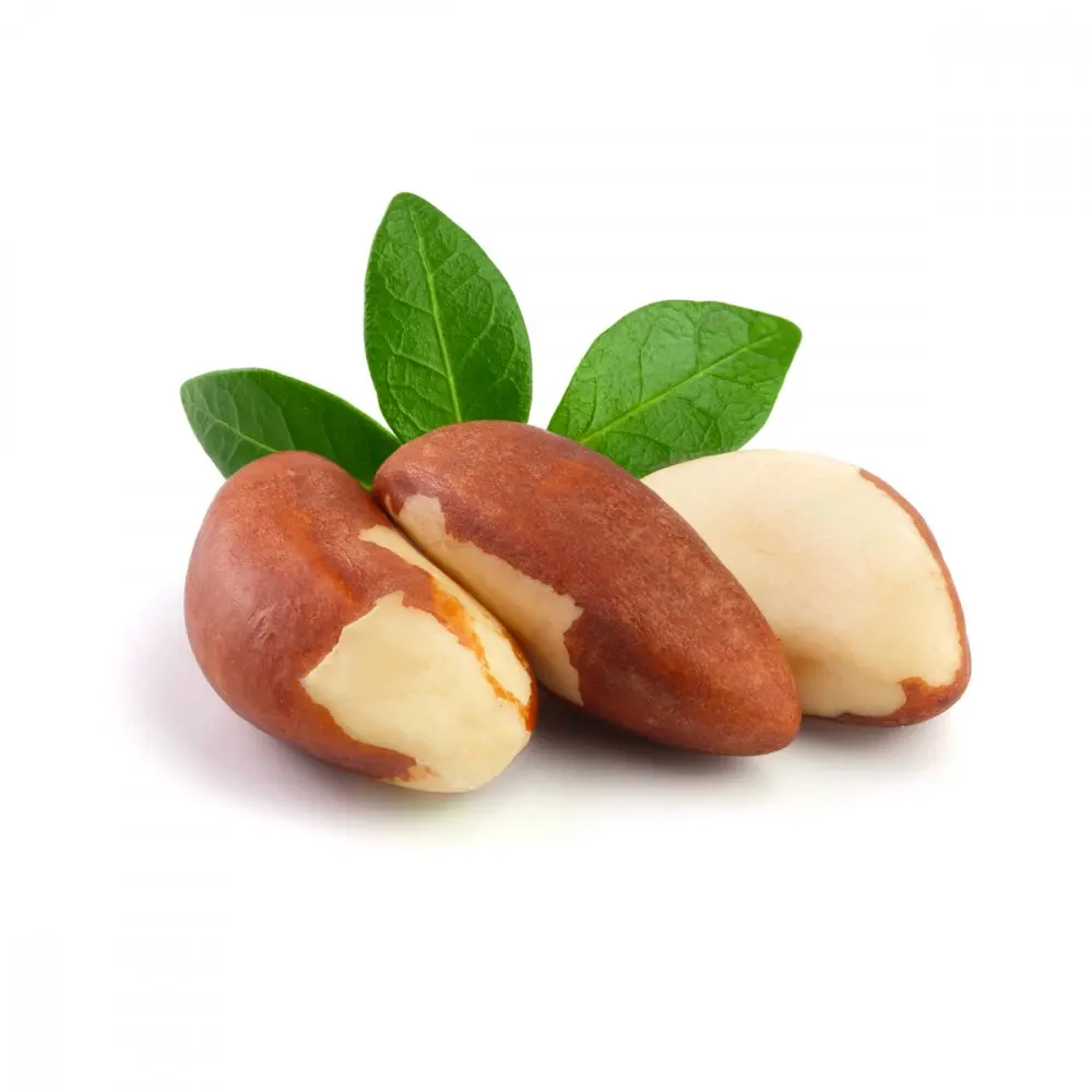 100% Pure Natural Brazil Nuts For Sale