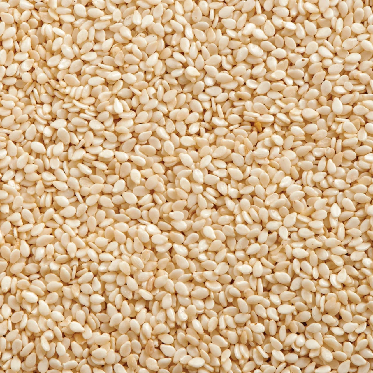 Manufacturer of Sesame seed natural / hulled / Black sesame