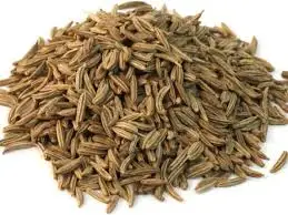 High quality Egyptian Caraway seeds Herbs spices Grade A FOR EXPORT