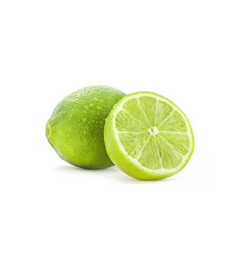 HIGH QUALITY FRESH GREEN SEEDLESS LIME Available To Export Natural Organic Lime Reasonable Price