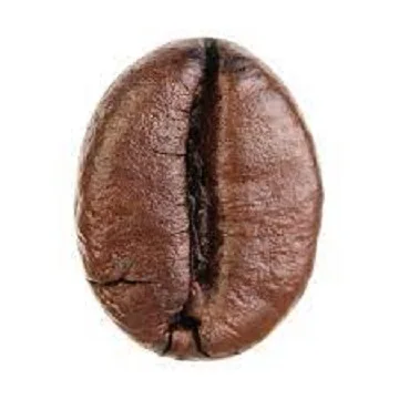 Wholesale Robusta Coffee Bean Buy Cheap Robusta Coffee Bulk