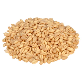 2024 Bulk Selling Pure Protein Best Quality Organic Natural Wheat Bran Ready For Animals Feeds