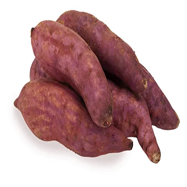 Quality Sweet Potato Fresh Potatoes High Quality Cheap Price Professional Export Wholesalers Fresh Sweet Potato