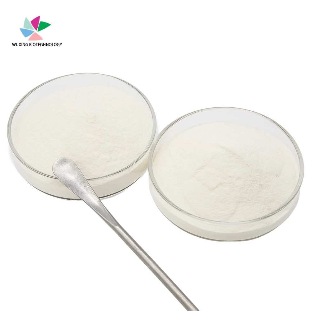Healthcare Supplement 95% Chicken Chondroitin Sulfate Sodium Chondroitin Sulfate Powder
