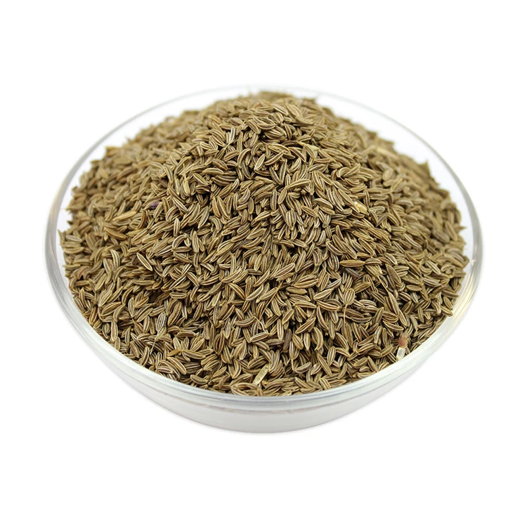 Лучшее качество, сильно ароматизированные 100% натуральные одиночные специи и травы, семена Caraway от оптового поставщика