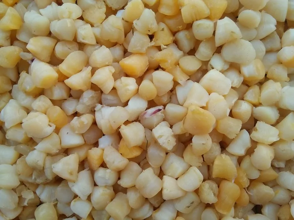 Different Size Dried Scallop Tastable Delicious Dried Scallop rich sweetness strong flavor for Sale Akina