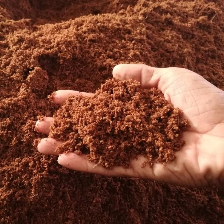 Top selling High grade 5kg Cocopeat Block Direct Manufacturer Cocopeat Coco dust 100% Organic